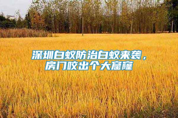 深圳白蟻防治白蟻來襲，房門咬出個大窟窿