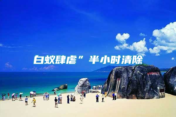 白蟻肆虐”半小時(shí)清除