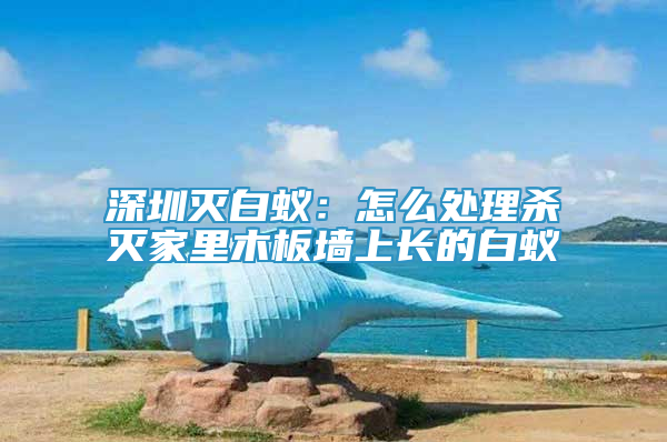 深圳滅白蟻：怎么處理殺滅家里木板墻上長的白蟻