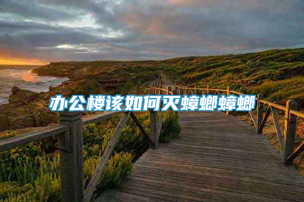 辦公樓該如何滅蟑螂蟑螂