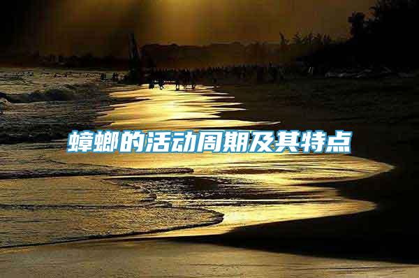 蟑螂的活動周期及其特點