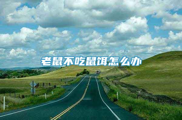 老鼠不吃鼠餌怎么辦