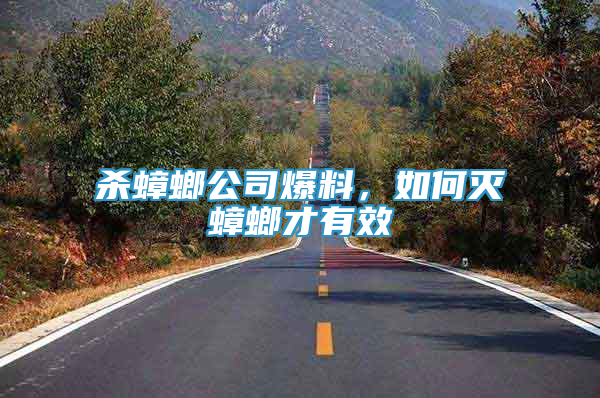殺蟑螂公司爆料，如何滅蟑螂才有效