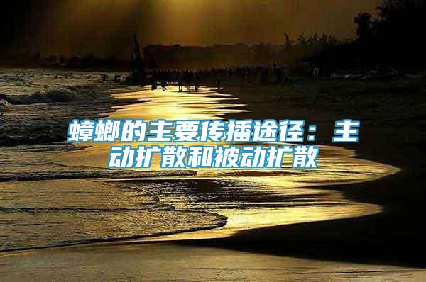 蟑螂的主要傳播途徑：主動擴(kuò)散和被動擴(kuò)散
