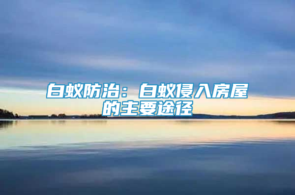 白蟻防治：白蟻侵入房屋的主要途徑