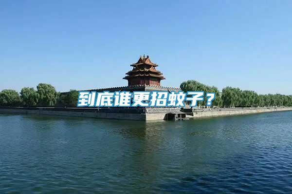 到底誰更招蚊子？