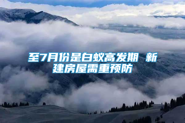 至7月份是白蟻高發(fā)期 新建房屋需重預防