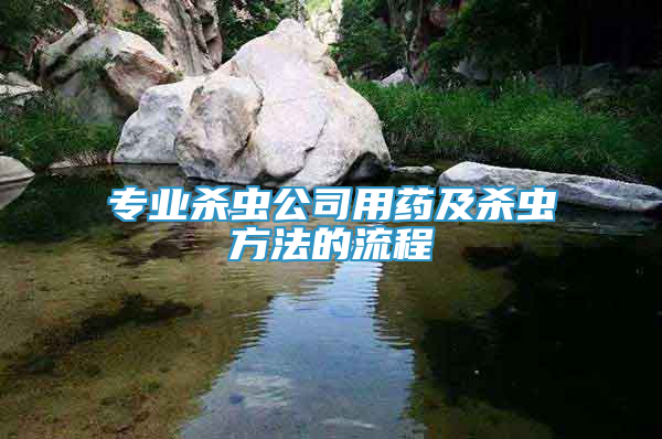 專業(yè)殺蟲公司用藥及殺蟲方法的流程