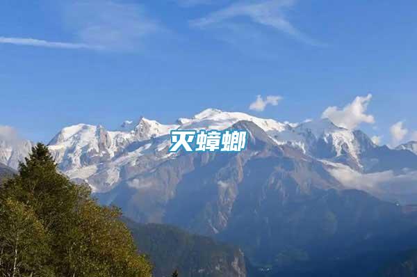 滅蟑螂