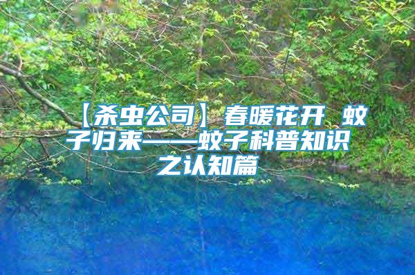 【殺蟲(chóng)公司】春暖花開(kāi) 蚊子歸來(lái)——蚊子科普知識(shí)之認(rèn)知篇