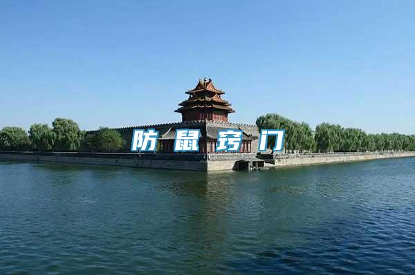 防 鼠 竅 門