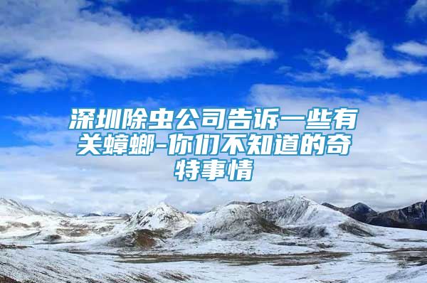 深圳除蟲公司告訴一些有關(guān)蟑螂-你們不知道的奇特事情