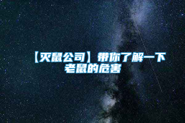 【滅鼠公司】帶你了解一下老鼠的危害