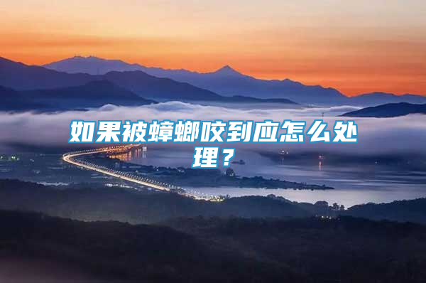 如果被蟑螂咬到應(yīng)怎么處理？