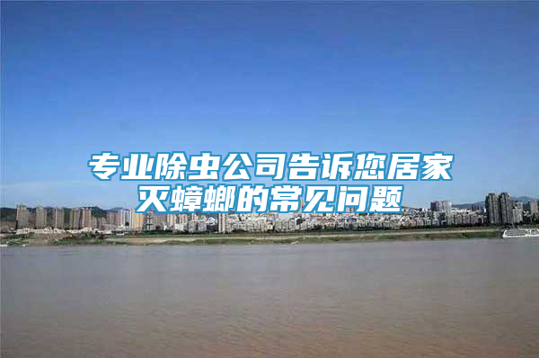 專業(yè)除蟲公司告訴您居家滅蟑螂的常見問題
