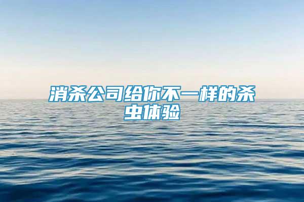 消殺公司給你不一樣的殺蟲體驗(yàn)