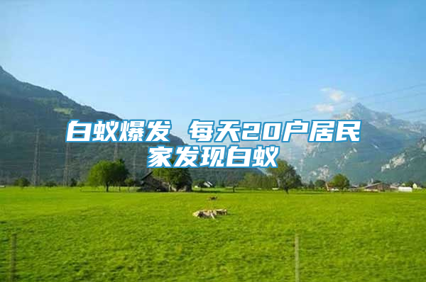 白蟻爆發(fā) 每天20戶居民家發(fā)現(xiàn)白蟻