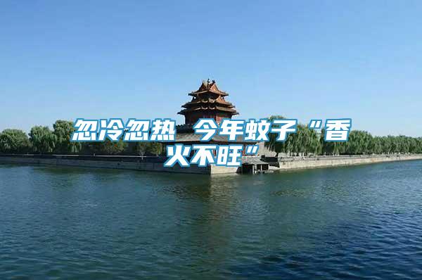 忽冷忽熱 今年蚊子“香火不旺”