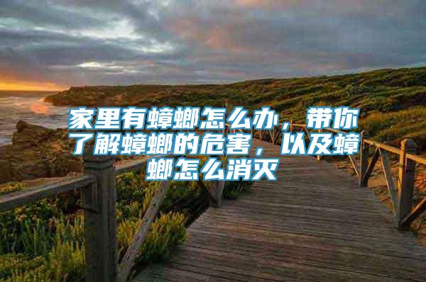 家里有蟑螂怎么辦，帶你了解蟑螂的危害，以及蟑螂怎么消滅