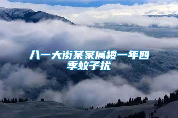 八一大街某家屬樓一年四季蚊子擾