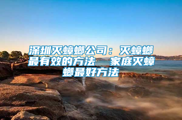 深圳滅蟑螂公司：滅蟑螂最有效的方法  家庭滅蟑螂最好方法