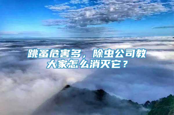 跳蚤危害多，除蟲公司教大家怎么消滅它？