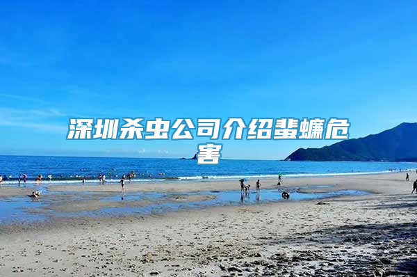深圳殺蟲公司介紹蜚蠊危害