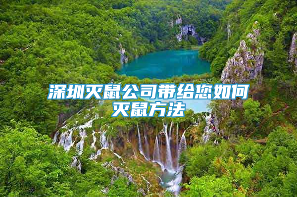 深圳滅鼠公司帶給您如何滅鼠方法