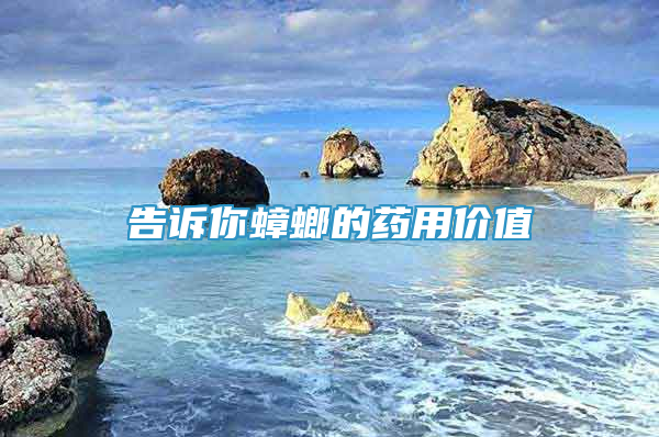 告訴你蟑螂的藥用價值