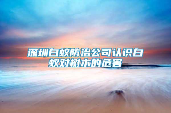 深圳白蟻防治公司認(rèn)識白蟻對樹木的危害