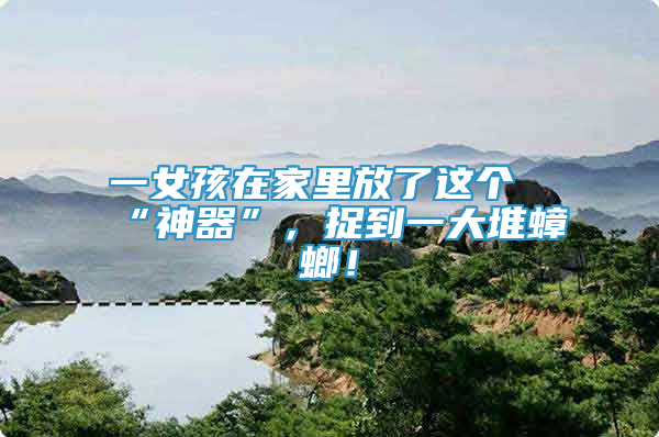 一女孩在家里放了這個“神器”，捉到一大堆蟑螂！