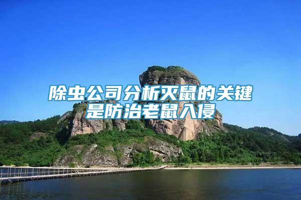 除蟲公司分析滅鼠的關(guān)鍵是防治老鼠入侵