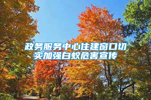 政務(wù)服務(wù)中心住建窗口切實(shí)加強(qiáng)白蟻危害宣傳