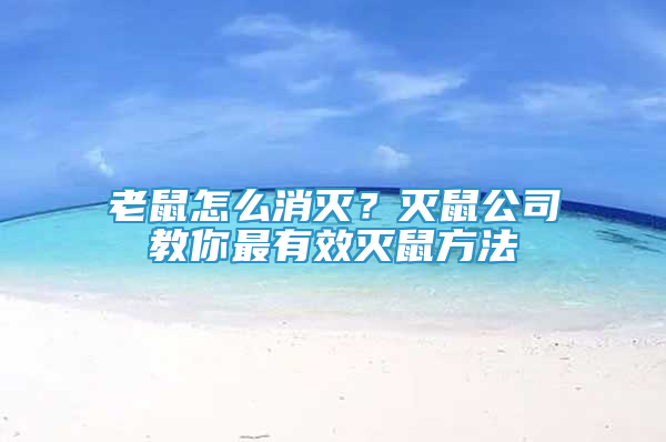 老鼠怎么消滅？滅鼠公司教你最有效滅鼠方法