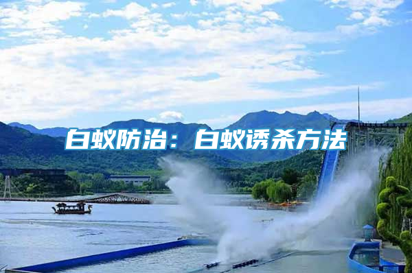 白蟻防治：白蟻誘殺方法