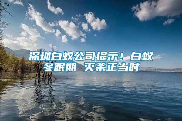 深圳白蟻公司提示！白蟻冬眠期 滅殺正當時