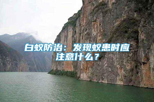 白蟻防治：發(fā)現(xiàn)蟻患時應(yīng)注意什么？