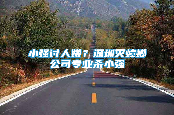 小強(qiáng)討人嫌？深圳滅蟑螂公司專業(yè)殺小強(qiáng)