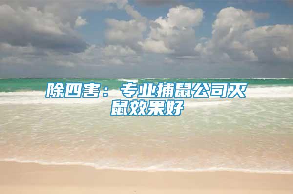 除四害：專業(yè)捕鼠公司滅鼠效果好