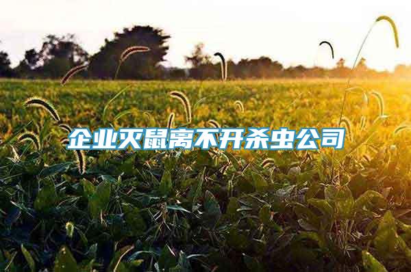 企業(yè)滅鼠離不開殺蟲公司