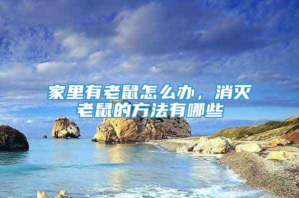 家里有老鼠怎么辦，消滅老鼠的方法有哪些