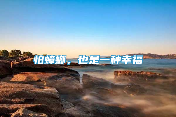 怕蟑螂，也是一種幸福