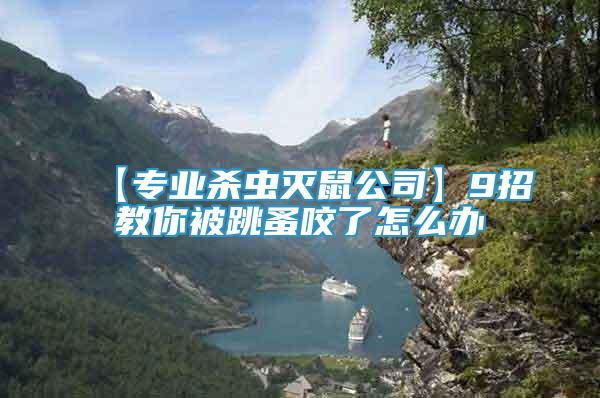 【專業(yè)殺蟲滅鼠公司】9招教你被跳蚤咬了怎么辦