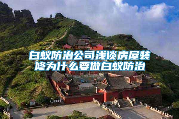 白蟻防治公司淺談房屋裝修為什么要做白蟻防治
