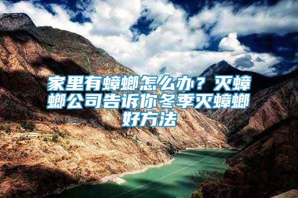 家里有蟑螂怎么辦？滅蟑螂公司告訴你冬季滅蟑螂好方法