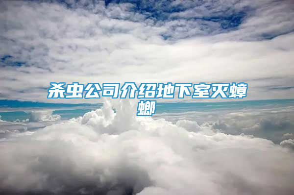 殺蟲公司介紹地下室滅蟑螂