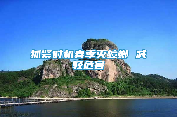 抓緊時(shí)機(jī)春季滅蟑螂 減輕危害