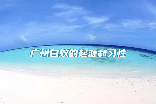 廣州白蟻的起源和習(xí)性