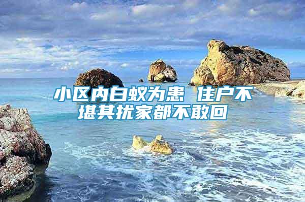 小區(qū)內(nèi)白蟻為患 住戶不堪其擾家都不敢回