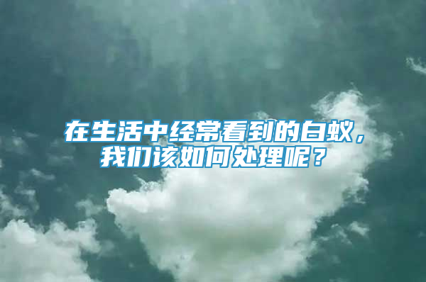 在生活中經(jīng)常看到的白蟻，我們?cè)撊绾翁幚砟兀?/></p>
             <p style=